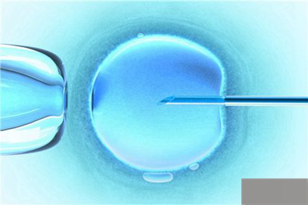 中山正规二代试管婴儿成功率_在取卵过程中，女性需要做什么来提高试管婴儿的成功率？