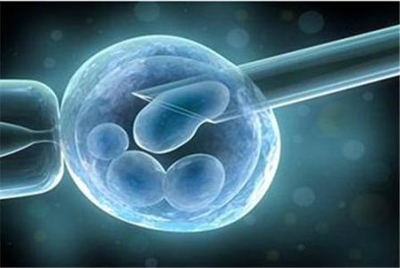 中山双胞胎试管婴儿医院排名-如何计算新鲜胚胎移植的怀孕周数？