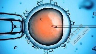如何使试管婴儿胚胎受精的成功率减半？你需要了解的情况