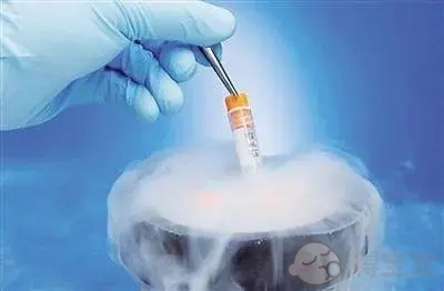 胚胎培养步骤 应采取哪些预防措施？