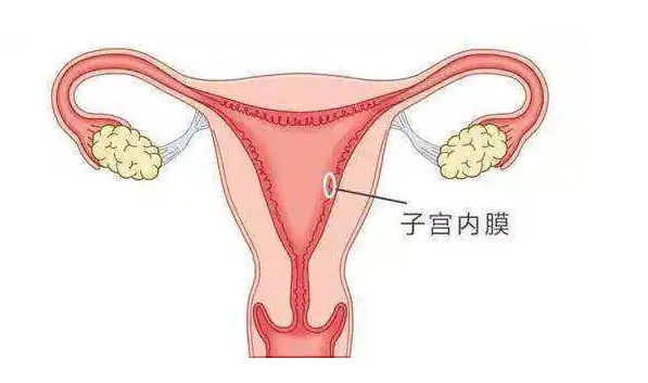 好的卵泡和子宫内膜的标准是什么？