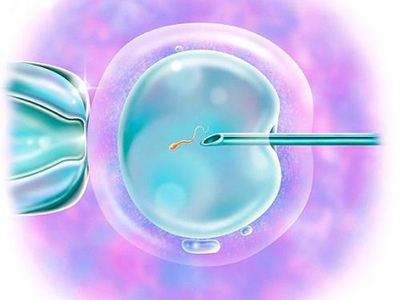 合肥105医院试管婴儿成功率高吗：在试管婴儿中使用冷冻胚胎是否影响成功率？试管婴儿移植的冷冻胚胎的成功率是多少？