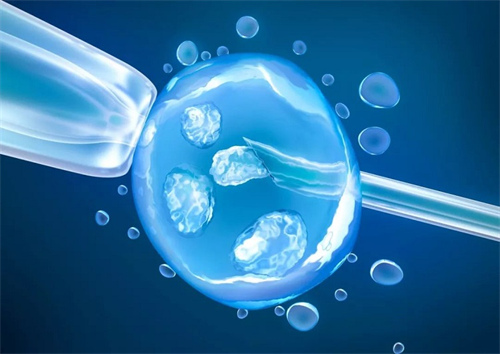 珠海借卵试管助孕包成功套餐-试管婴儿适用于哪些不孕不育的情况？哪些因素影响试管婴儿的成功率？