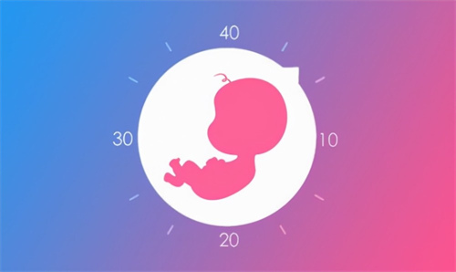 乌鲁木齐助孕龙凤胎50万起：如果我有幼稚型子宫，我可以做没有月经的试管婴儿吗？幼稚型子宫的生育指南